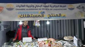من المُنتج إلى المُستهلك.. 200 نقطة بيع للمنتجات البحرية في رمضان