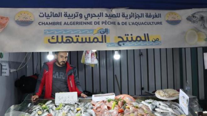 من المُنتج إلى المُستهلك.. 200 نقطة بيع للمنتجات البحرية في رمضان