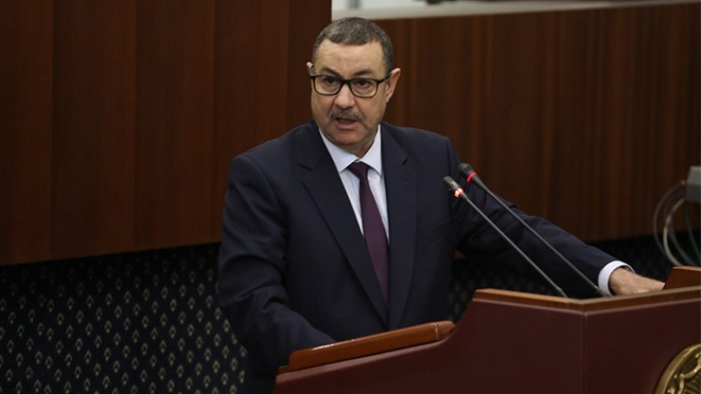 وضع الموانئ الجافة تحت تصرف المؤسسات المينائية
