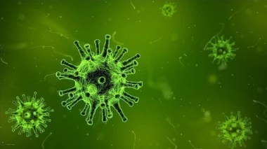 Infections invasives en France: Hausse inquiétante des cas en début d’année 2025