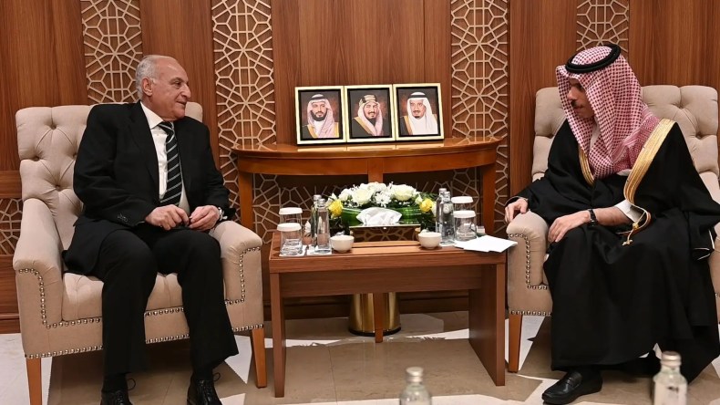 القمة العربية الطارئة.. عطاف يتلقى مكالمة هاتفية من نظيره السعودي