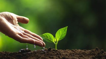 المطلوب.. تقدم أكبر على طريق مأسسة العمل الخيري