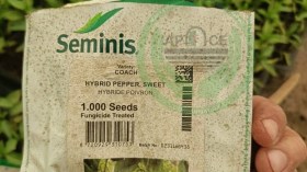 تُضاهي إنتاج 2000 بيت بلاستيكي.. تسويق بذور فلفل مغشوشة بسطيف