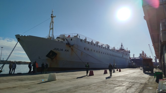 ميناء الجزائر: وصول سفينة ثالثة محمّلة بـ 16 ألف رأس غنم من رومانيا (صور)