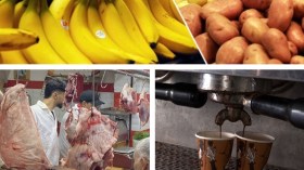 من الدعم إلى الرقابة.. وزارة التجارة تتحرك لحماية المستهلك