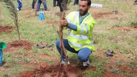 نجاح غرس 40 ألف شجرة لإحياء “السد الأخضر”