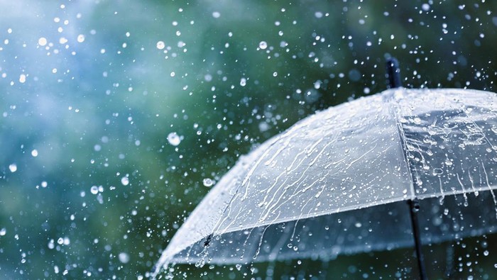 Météo: des averses orageuses affecteront 12 wilayas du pays