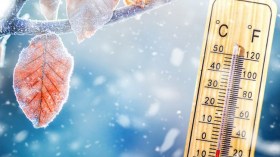 أفريل.. “شهر مجنون” أخلط حسابات الجزائريين