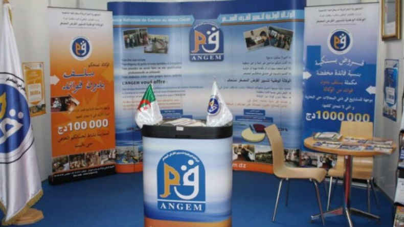 شباب.. من الصفر إلى أصحاب مشاريع ناجحة
