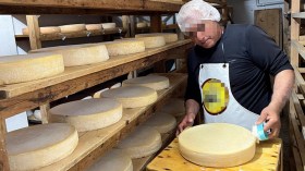 مؤسسات جزائرية لصناعة الأجبان تنافس عالميا