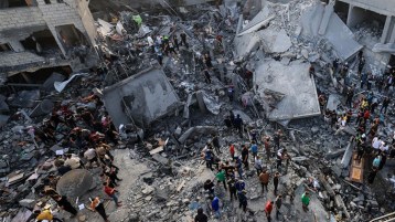 طريقة إنزال القط من الشجرة