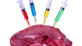 الاستعمال الرّشيد للمضادات الحيويّة وتعزيز الرقابة الوبائية