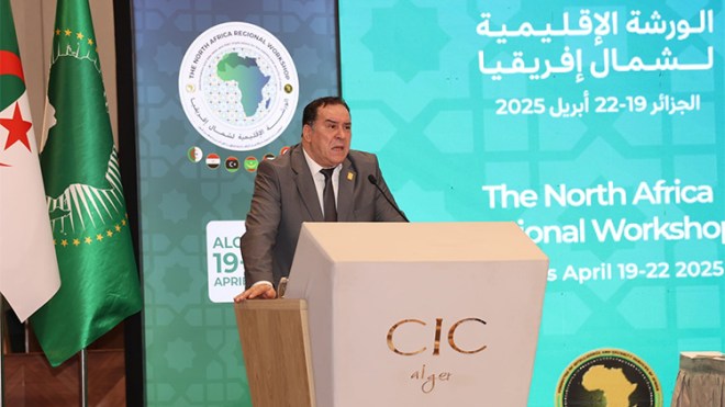 هذه رؤية الجزائر لحماية دول إفريقيا من الأخبار الزائفة 