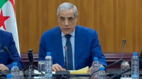 تعزيز الكابلات البحرية على طاولة مجلس مساهمات الدولة