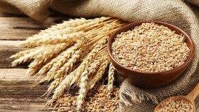 تعرّف على الفوائد الصحية لتناول النخّالة