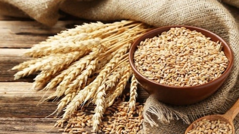 تعرّف على الفوائد الصحية لتناول النخّالة