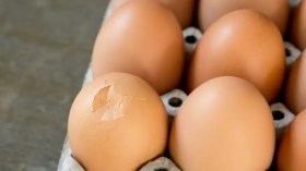 لماذا يُعدّ البيض المتشقق خطيرا؟