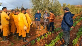 10 آلاف محبوس يشتغلون في الورشات الإنتاجية والفلاحية