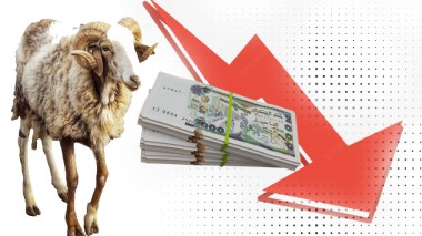 المدير العام لميناء الجزائر … عملية استيراد المواشي ستساهم في تخفيض أسعار الأضاحي