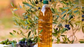 لماذا لا يجب تخزين زيت الزيتون في عبوات بلاستكية؟
