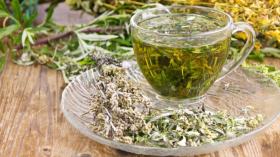 تعرّف على الفوائد الصحية لعشبة الشيّح