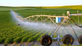 3200 هكتار جاهزة للاستثمار الفلاحي بهذه الولاية