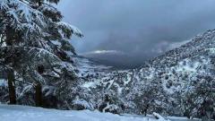 نشرية خاصة: ثلوج كثيفة وأمطار غزيرة عبر هذه الولايات