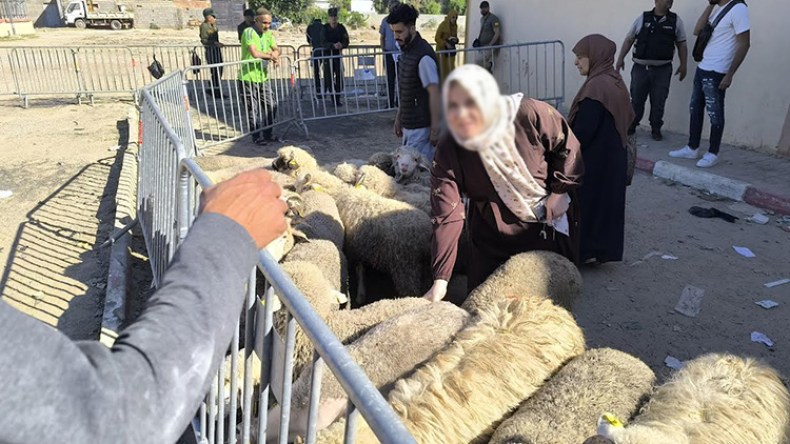هكذا تمكّن المواطنون من اقتناء الأضاحي المستوردة