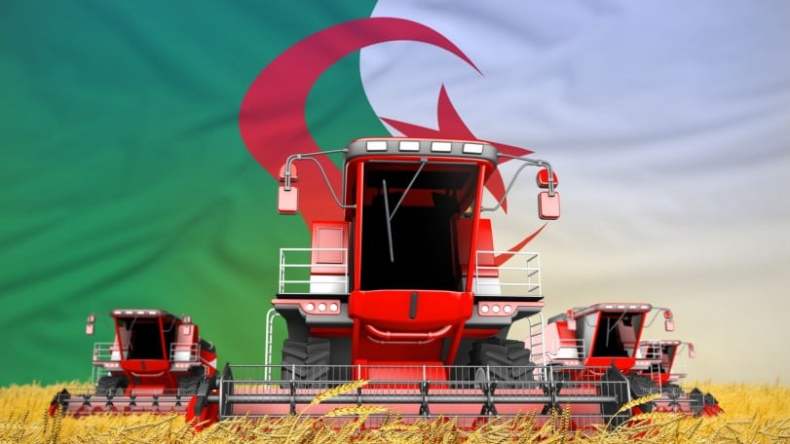 توقعات بإنتاج أزيد من 37 ألف طن من الحبوب في هذه الولاية الصحراوية