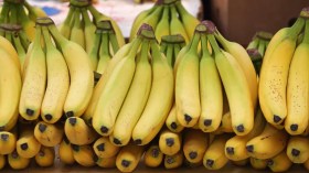 تسليم وثائق التوطين البنكي لعدد من مستوردي الموز