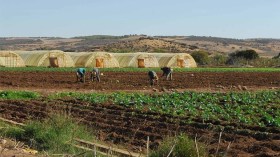 اعلان هام للفلاحين الراغبين بالاستثمار في العاصمة