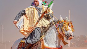 الحصان الجزائري الأصيل… رفيق المقاومة وقلب الفانتازيا