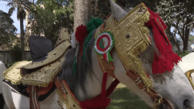 الرئيس تبون يهدي سلطان عُمان حصانا بربريا أصيلا (فيديو)