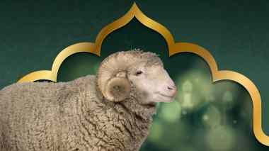 Aïd El Adha célébré le vendredi 6 juin 2025