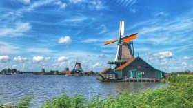 معجزة هولندا الفلاحية.. كيف تحوّلت دولة صغيرة إلى ثاني أكبر مصدر غذائي في العالم؟