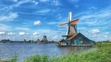 معجزة هولندا الفلاحية.. كيف تحوّلت دولة صغيرة إلى ثاني أكبر مصدر غذائي في العالم؟