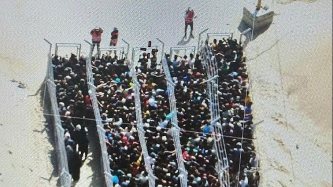 دولة الاحتلال تُعيد سيناريو النازية بالإبادة الجماعية ومعسكرات التجويع