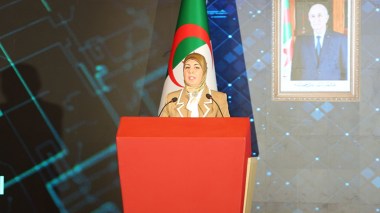 Algeria, Candidate For Digital Leadership in Africa by 2030