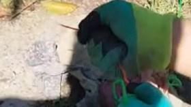 أعمال سحر في المقابر! بين التهويل والتهوين!