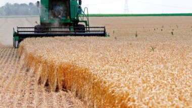 The Expected Results of the Italian “BF” Project in Algeria