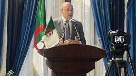 قاعدة العرض والطلب لا تعني الفوضى..