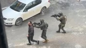 استخدمه جيش الاحتلال في غزة.. تعرّف على بروتوكول “البعوض والدبابير”