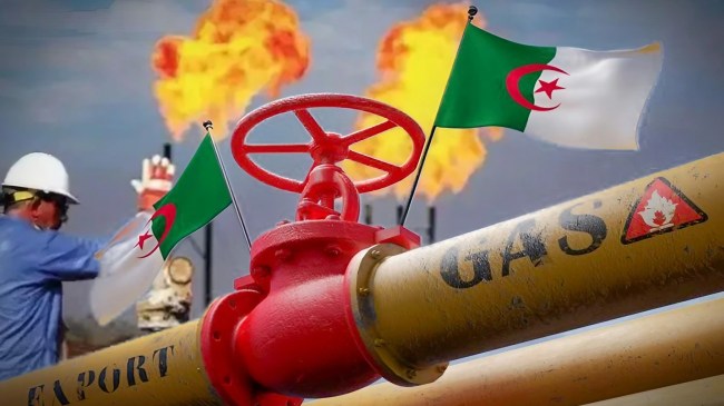 هذا ما حصلت عليه إيطاليا من غاز جزائري إضافي في 4 أشهر