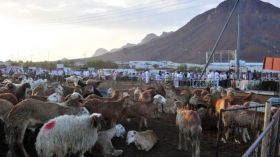 تنبيه هام للحجاج بخصوص سندات الهدي