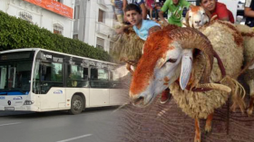 هذا هو برنامج النقل الخاص بعيد الأضحى