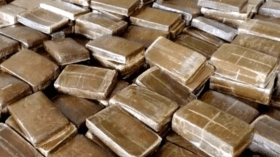 حجز أزيد من 5 قناطير من القنب الهندي بسيدي بلعباس وإيداع 4 أشخاص الحبس المؤقت