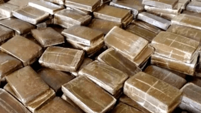 حجز أزيد من 5 قناطير من القنب الهندي بسيدي بلعباس وإيداع 4 أشخاص الحبس المؤقت