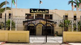 محكمة السانية: 12 سنة حبسا نافذا في حق مضاربين في فاكهة الموز