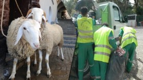 حملة إشادة بمجهودات عمال النظافة أيام العيد