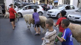 الحماية المدنية تدعو إلى احترام الإرشادات الوقائية خلال عيد الأضحى